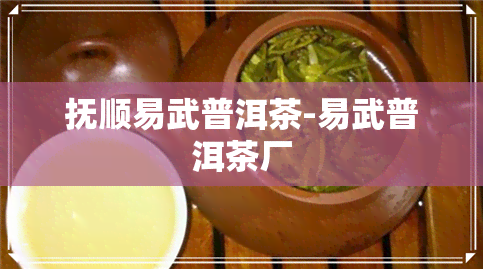 抚顺易武普洱茶-易武普洱茶厂