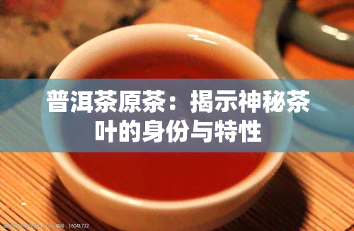 普洱茶原茶：揭示神秘茶叶的身份与特性