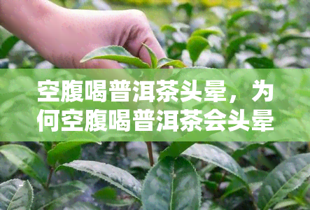 空腹喝普洱茶头晕，为何空腹喝普洱茶会头晕？