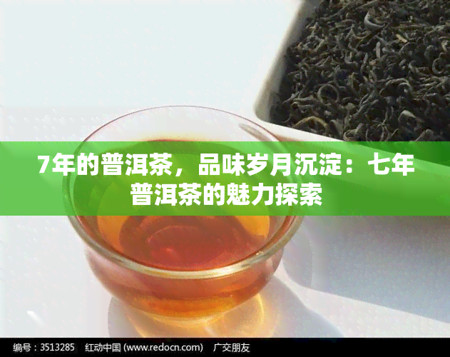 7年的普洱茶，品味岁月沉淀：七年普洱茶的魅力探索