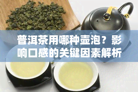 普洱茶用哪种壶泡？影响口感的关键因素解析