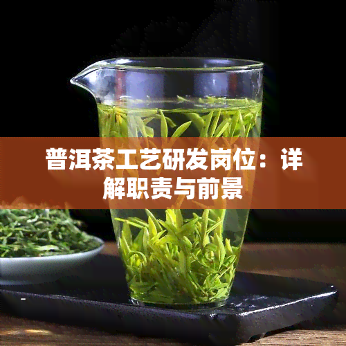 普洱茶工艺研发岗位：详解职责与前景