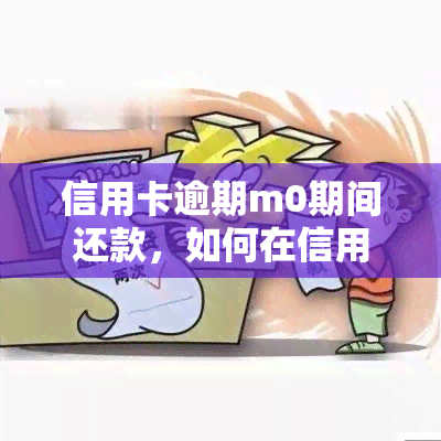 信用卡逾期m0期间还款，如何在信用卡逾期M0期间进行还款？