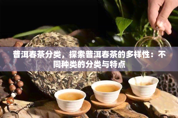 普洱春茶分类，探索普洱春茶的多样性：不同种类的分类与特点