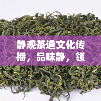 静观茶道文化传播，品味静，领略茶道文化——静观茶道文化传播