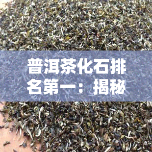 普洱茶化石排名之一：揭秘其独特地位与价值