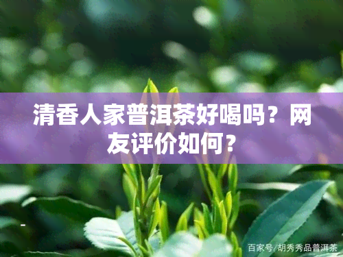 清香人家普洱茶好喝吗？网友评价如何？