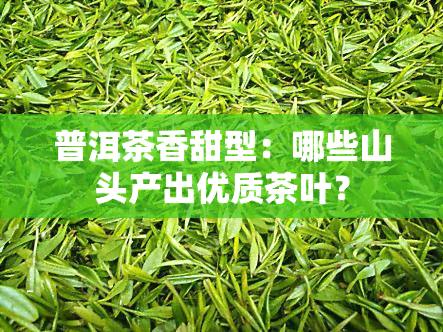 普洱茶香甜型：哪些山头产出优质茶叶？