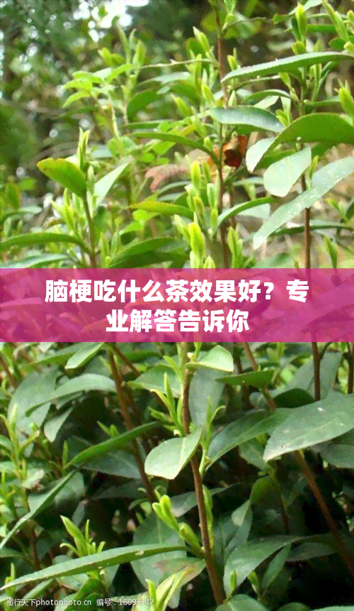 脑梗吃什么茶效果好？专业解答告诉你