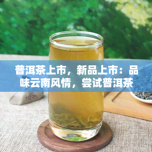 普洱茶上市，新品上市：品味云南风情，尝试普洱茶的独特魅力！