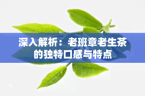 深入解析：老班章老生茶的独特口感与特点