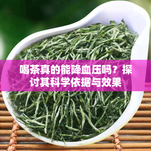 喝茶真的能降血压吗？探讨其科学依据与效果