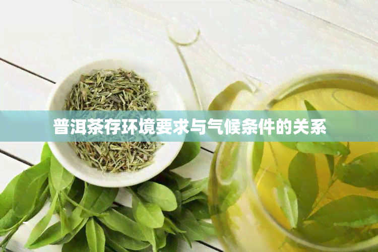 普洱茶存环境要求与气候条件的关系