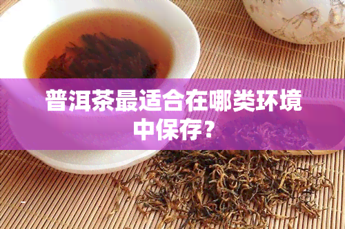 普洱茶最适合在哪类环境中保存？