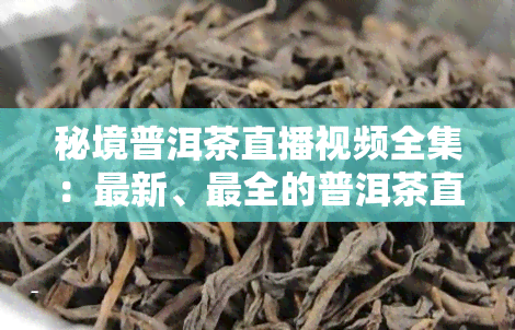 秘境普洱茶直播视频全集：最新、最全的普洱茶直播视频 *** ，立即下载！