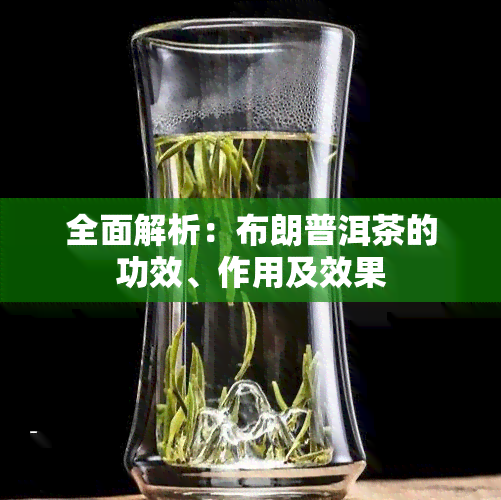 全面解析：布朗普洱茶的功效、作用及效果