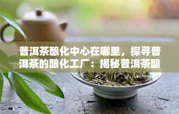 普洱茶酿化中心在哪里，探寻普洱茶的酿化工厂：揭秘普洱茶酿化中心的位置