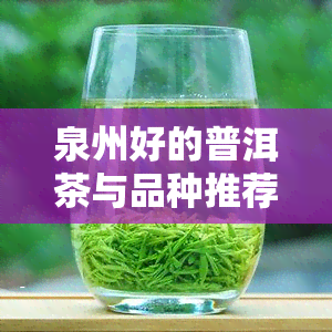 泉州好的普洱茶与品种推荐