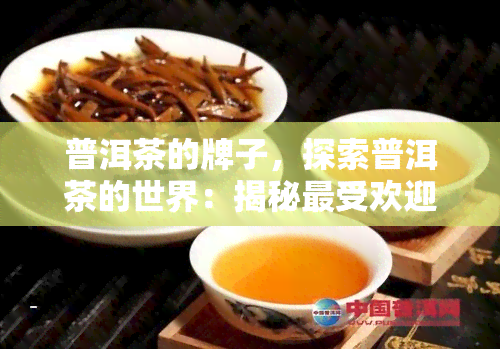 普洱茶的牌子，探索普洱茶的世界：揭秘更受欢迎的