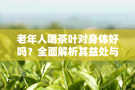 老年人喝茶叶对身体好吗？全面解析其益处与注意事