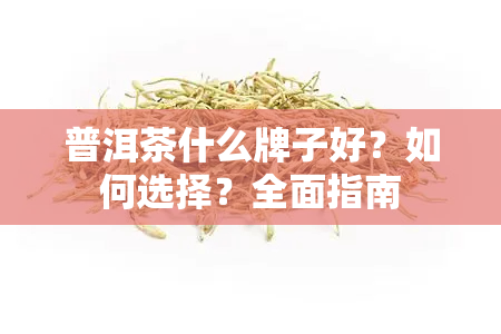 普洱茶什么牌子好？如何选择？全面指南