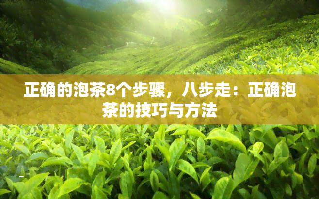 正确的泡茶8个步骤，八步走：正确泡茶的技巧与方法