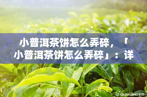 小普洱茶饼怎么弄碎，「小普洱茶饼怎么弄碎」：详细步骤解析