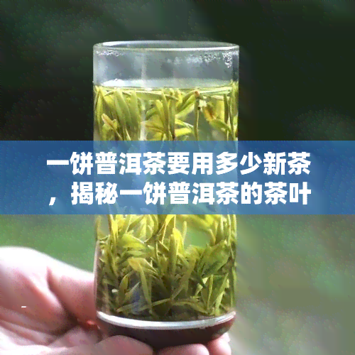 一饼普洱茶要用多少新茶，揭秘一饼普洱茶的茶叶用量，你了解吗？