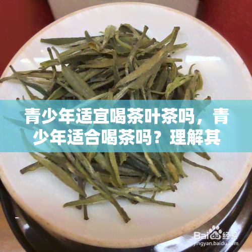 青少年适宜喝茶叶茶吗，青少年适合喝茶吗？理解其利弊并做出明智选择