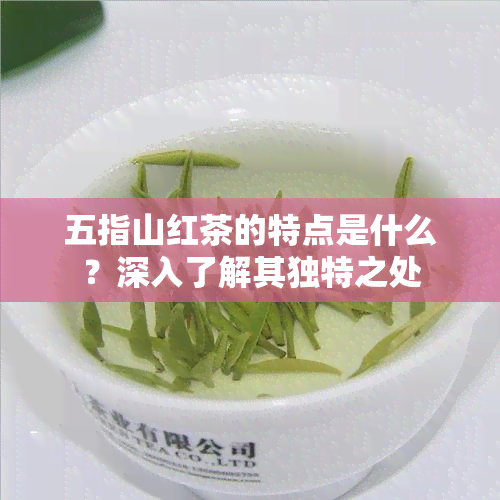 五指山红茶的特点是什么？深入了解其独特之处