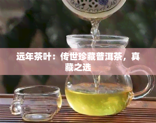 远年茶叶：传世珍藏普洱茶，真藏之选