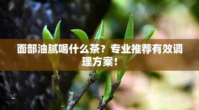 面部油腻喝什么茶？专业推荐有效调理方案！