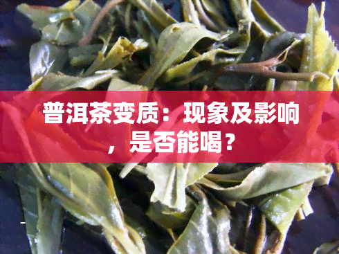 普洱茶变质：现象及影响，是否能喝？