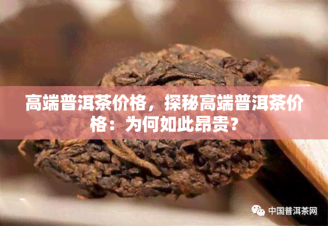 高端普洱茶价格，探秘高端普洱茶价格：为何如此昂贵？