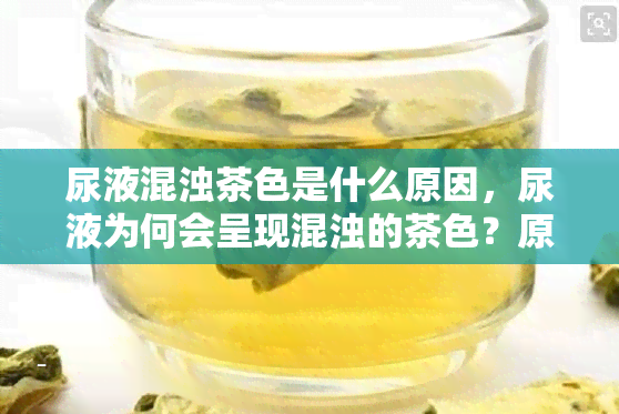 尿液混浊茶色是什么原因，尿液为何会呈现混浊的茶色？原因解析