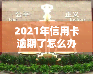 2021年信用卡逾期了怎么办，2021年信用卡逾期处理指南