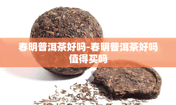 春明普洱茶好吗-春明普洱茶好吗值得买吗