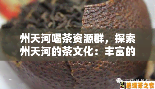 州天河喝茶资源群，探索州天河的茶文化：丰富的喝茶资源群推荐