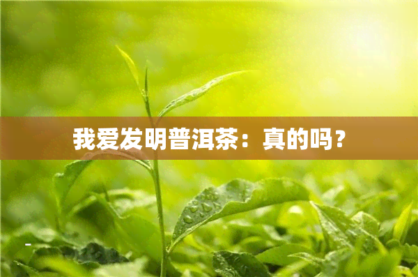 我爱发明普洱茶：真的吗？