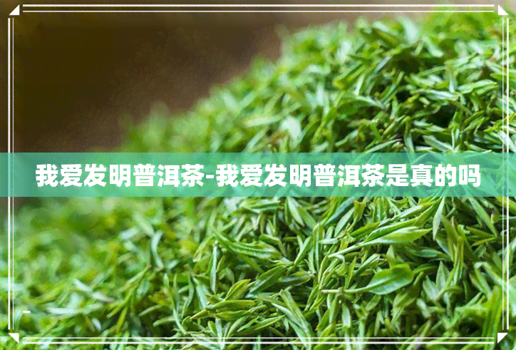 我爱发明普洱茶-我爱发明普洱茶是真的吗