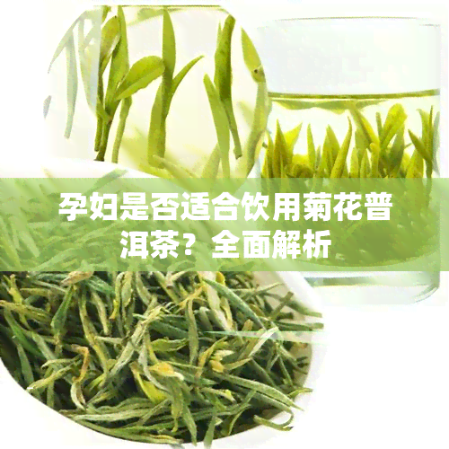 孕妇是否适合饮用菊花普洱茶？全面解析