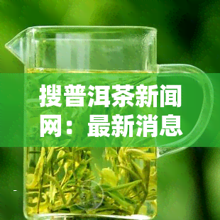 搜普洱茶新闻网：最新消息与资讯全览