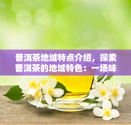 普洱茶地域特点介绍，探索普洱茶的地域特色：一场味觉与文化的旅行