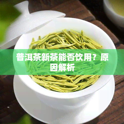 普洱茶新茶能否饮用？原因解析