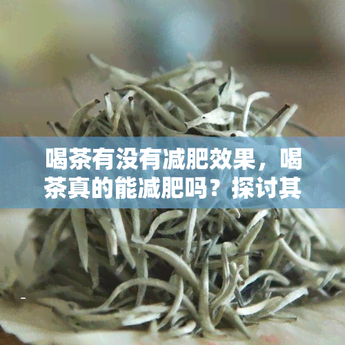 喝茶有没有减肥效果，喝茶真的能减肥吗？探讨其效果与科学依据