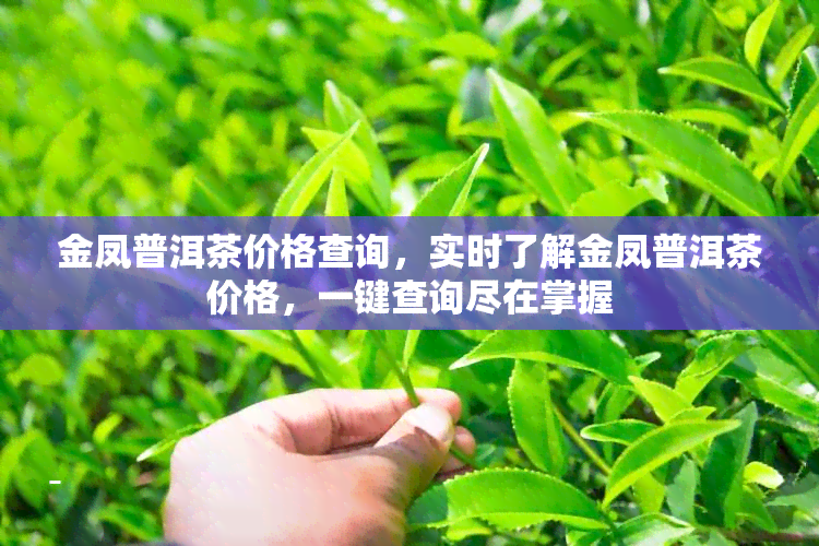 金凤普洱茶价格查询，实时了解金凤普洱茶价格，一键查询尽在掌握