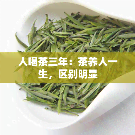 人喝茶三年：茶养人一生，区别明显