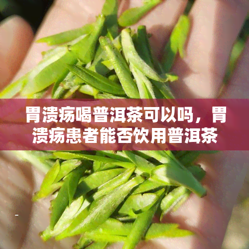 胃溃疡喝普洱茶可以吗，胃溃疡患者能否饮用普洱茶？专家解读