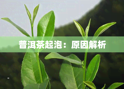 普洱茶起泡：原因解析