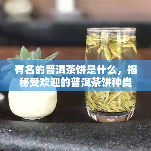 有名的普洱茶饼是什么，揭秘受欢迎的普洱茶饼种类